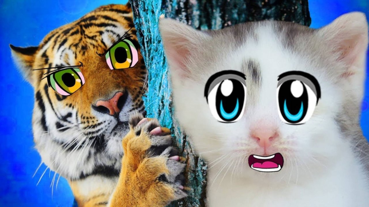 КОШКА МУРКА и ТИГРЫ с TIGER KINGDOM ПХУКЕТ! А ну-ка Давай-ка в КОРОЛЕВСТВЕ ТИГРОВ! ОГРОМНЫЕ ПИТОМЦЫ