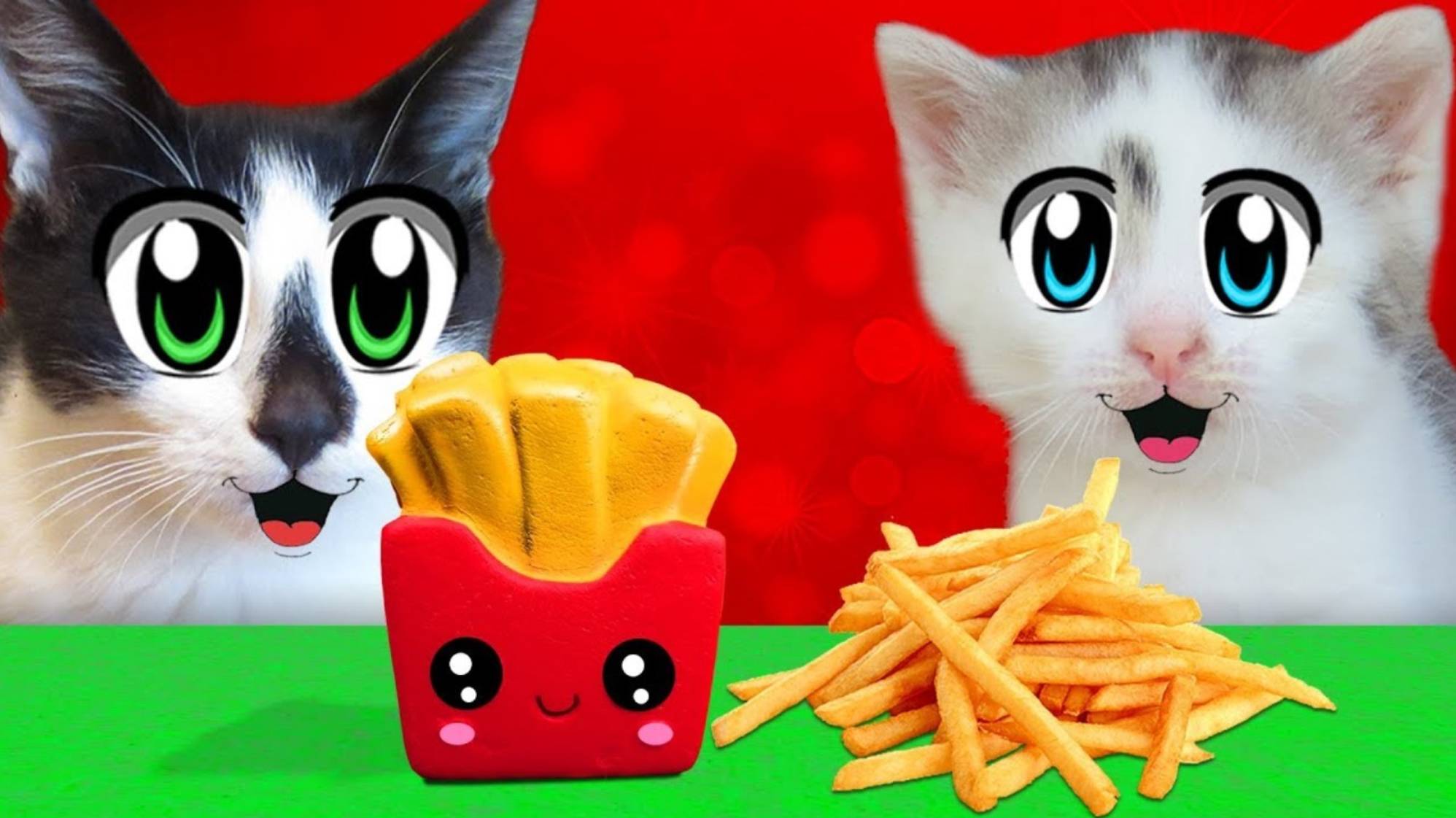 АНТИСТРЕСС VS ЕДА! КОТ и КОШЕЧКА МУРКА и Squishy Food VS REAL FOOD CHALLENGE! А ну-ка давай-ка
