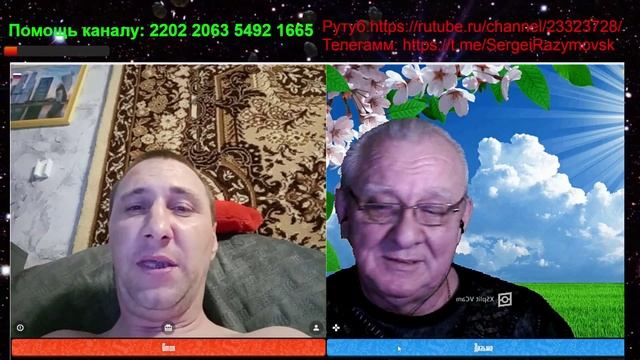 Политика