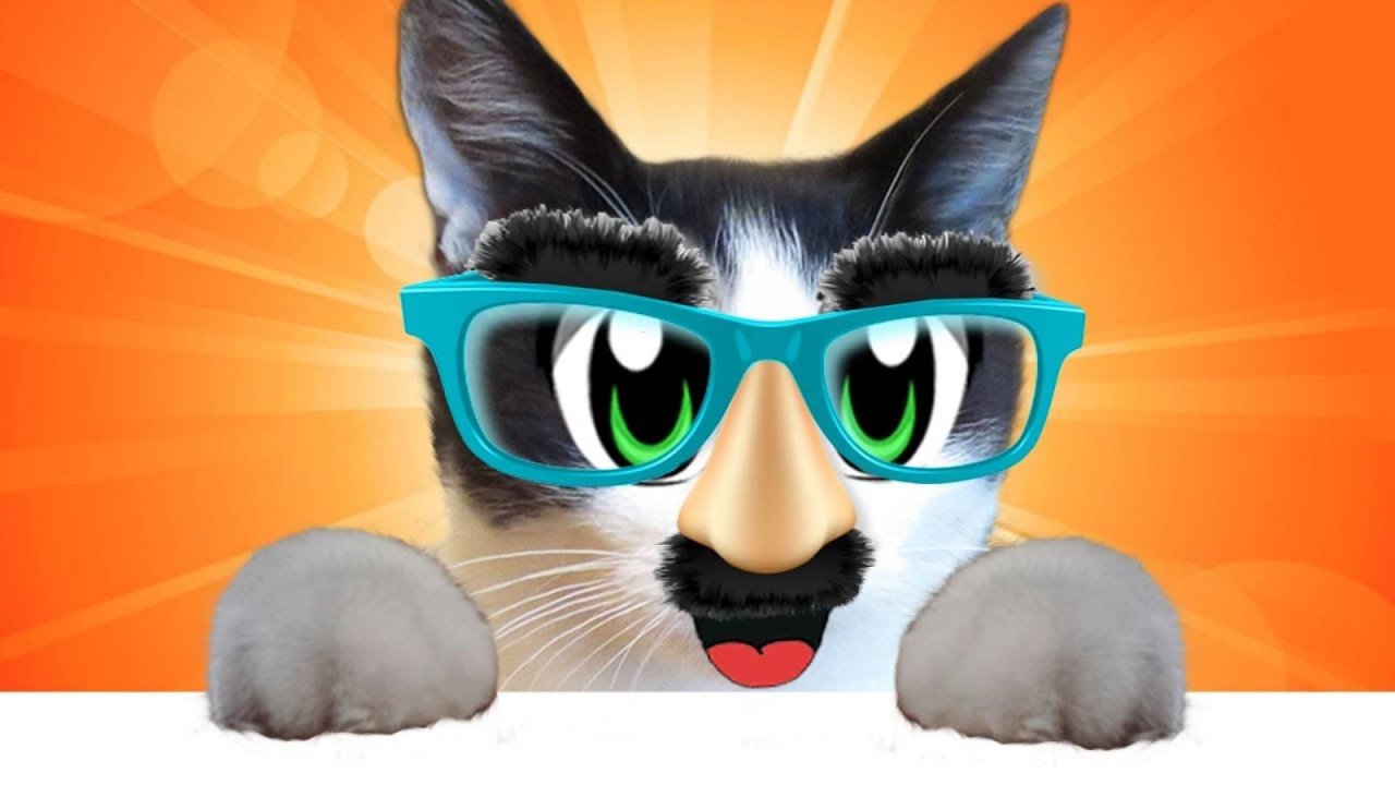 ЛУЧШИЕ ПРИКОЛЫ С КОТОМ МАЛЫШОМ! НОВЫЕ РОЗЫГРЫШИ КОТОВ! НОВЫЙ ЧЕЛЛЕНДЖ | А ну-ка давай-ка