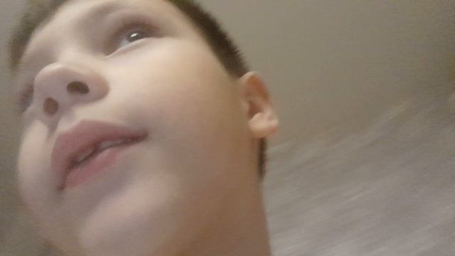 продолжаю говорить с вами описываю Простоквашино