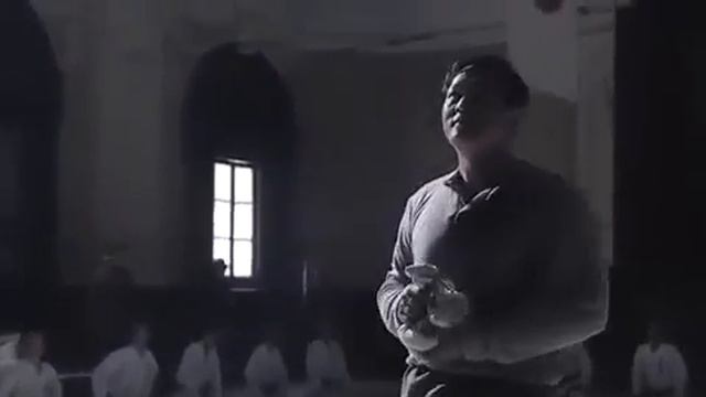 ИП МАН (2008)