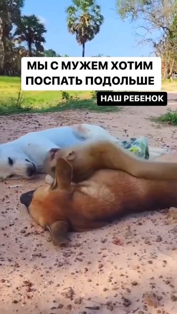 Юмор