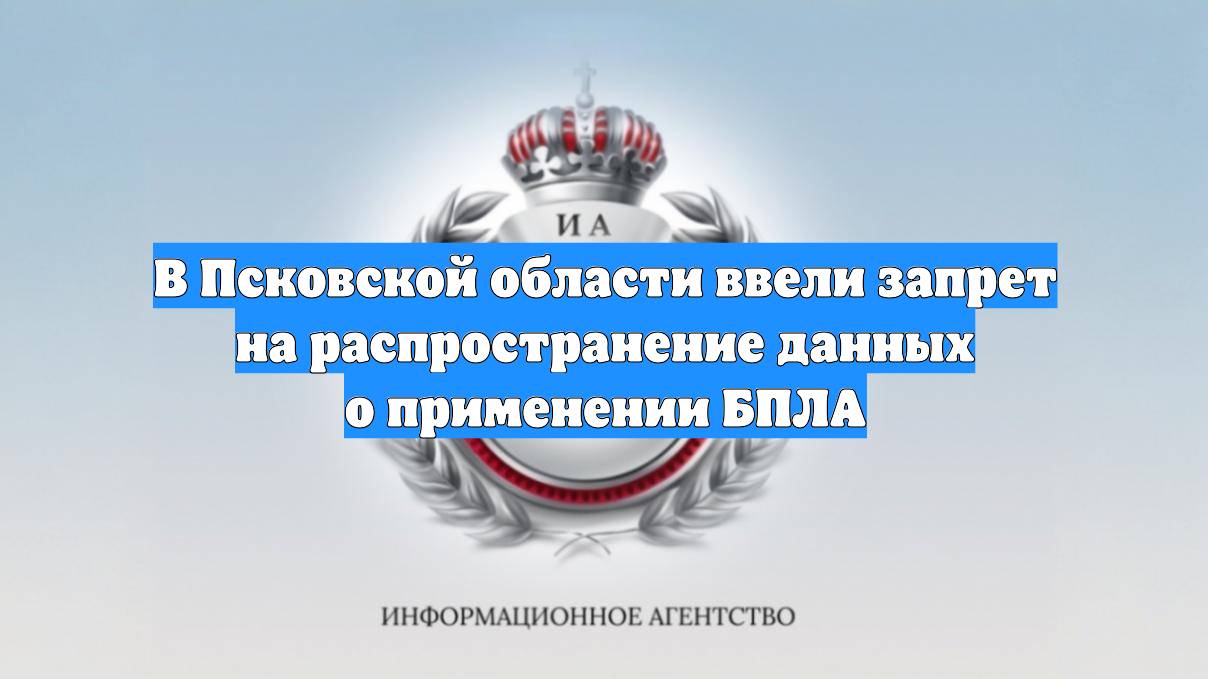 В Псковской области ввели запрет на распространение данных о применении БПЛА