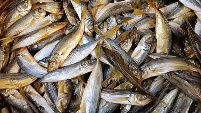 Черноморская Ставрида холодного копчения
