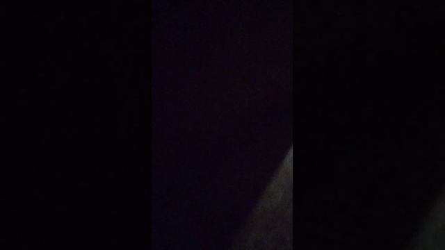 Выполняю задания