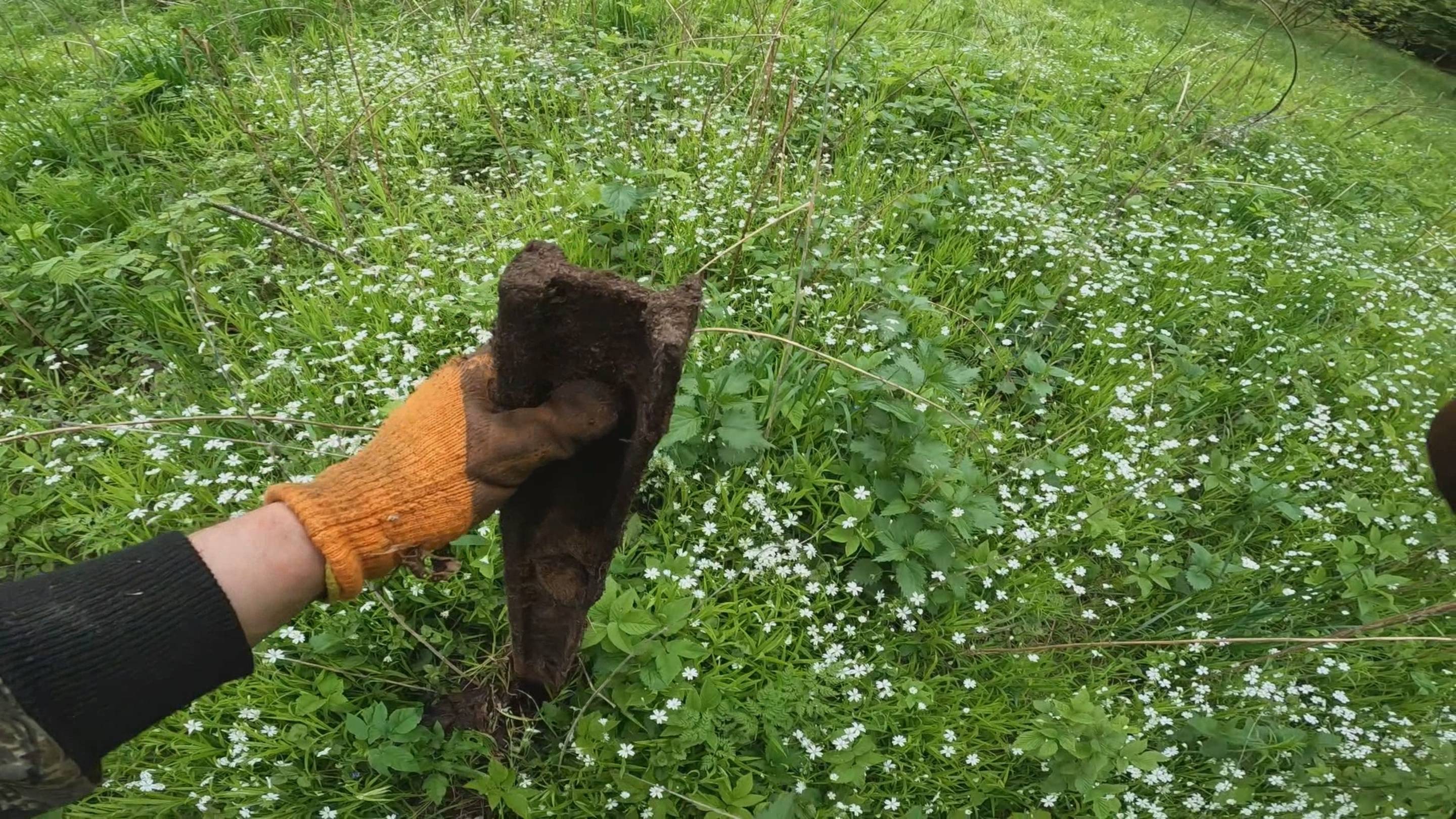 Металлокоп на урочище.Углипечи. копаем по второму кругу, а металл еще есть!!!