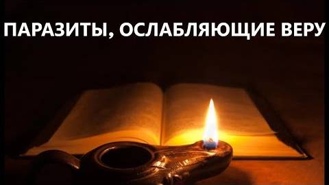 ПАРАЗИТЫ, ОСЛАБЛЯЮЩИЕ ВЕРУ Вардан Мартиросян