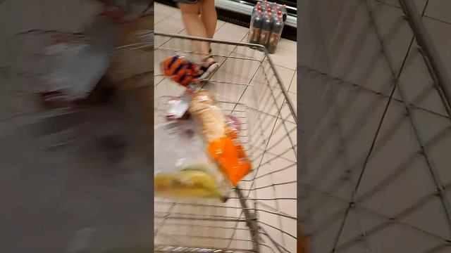 1000019833.mp4