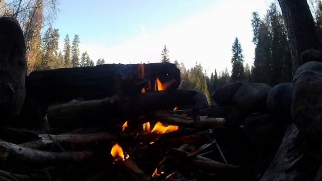 Лайфстайл покатушки на велосипеде в лесу!!! Часть 2