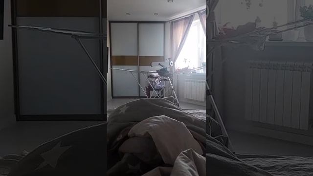 Домашний бардак))