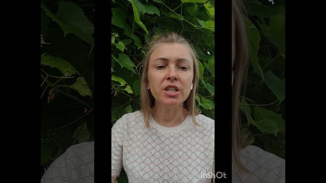 "Третий храм-нерукотворный.Движение церкви со всеми дарами Духа Святого"Слово Иисуса Христа 26.07.25
