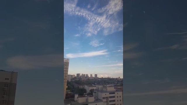 Полив цветов