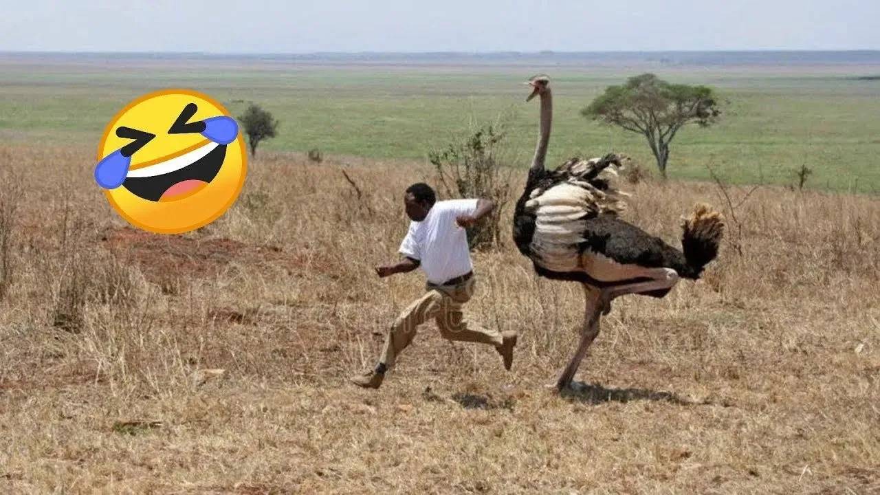 60 МИНУТ НЕВОЗМОЖНО 🤣 ОСТАНОВИТЬСЯ СМЕЯТЬСЯ САМЫЕ НЕЛЕПЫЕ И РЖАЧНЫЕ ПРИКОЛЫ 2025 УГАРНАЯ ПОДБОРКА