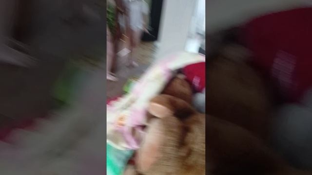 Игра в кальмара в реальной жизни часть 1