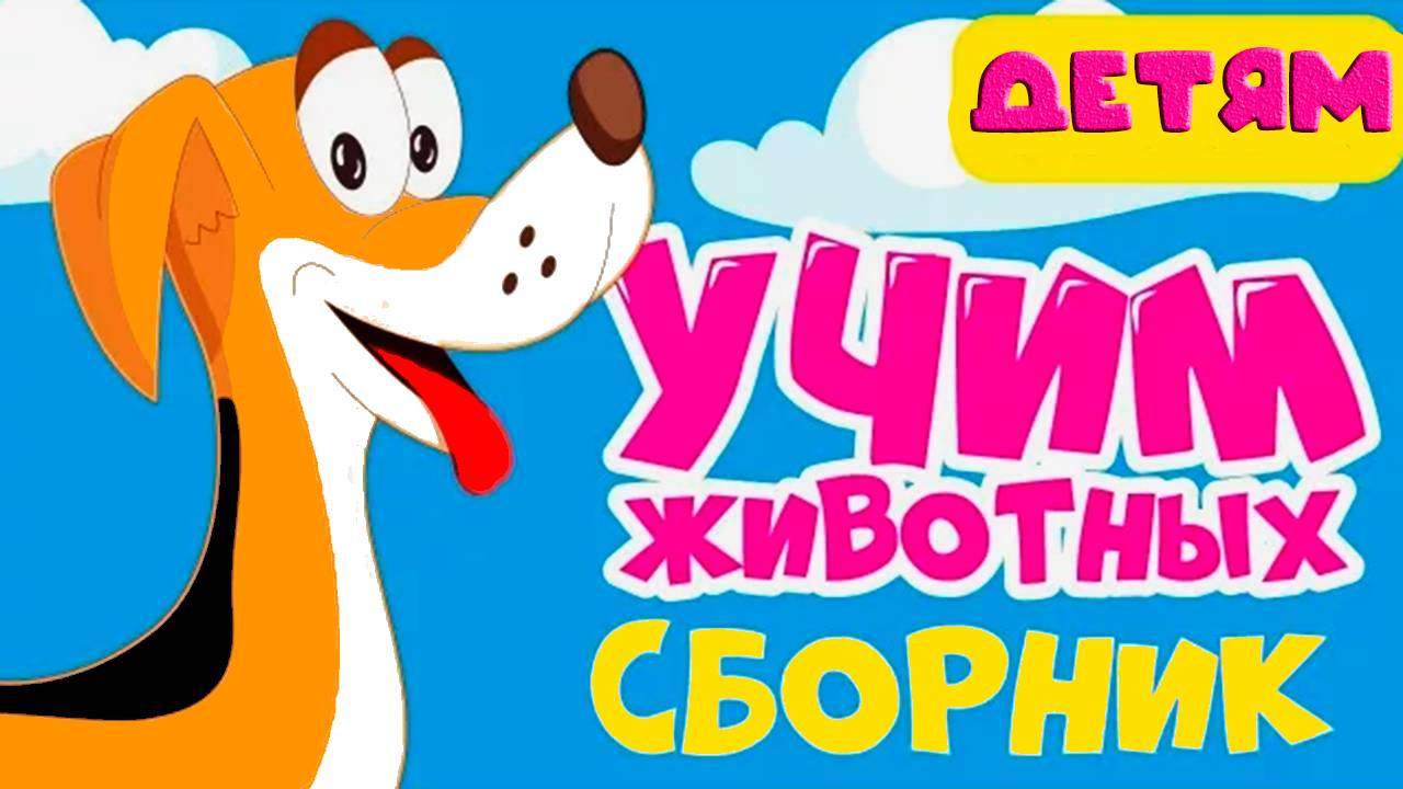 ЖИВОТНЫЕ АВСТРАЛИИ - ЖИВОТНЫЕ АЗИИ - ЖИВОТНЫЕ СЕВЕРА