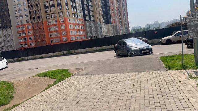 Все о воспитании корги. Рассуждаем