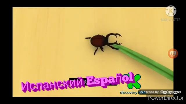 Барбоскины Заставка На Разных Языках