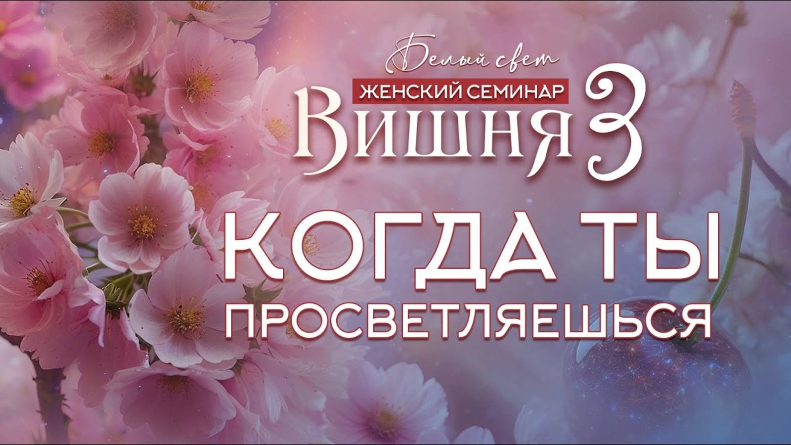 Когда ты просветляешься | Семинар Вишня 3