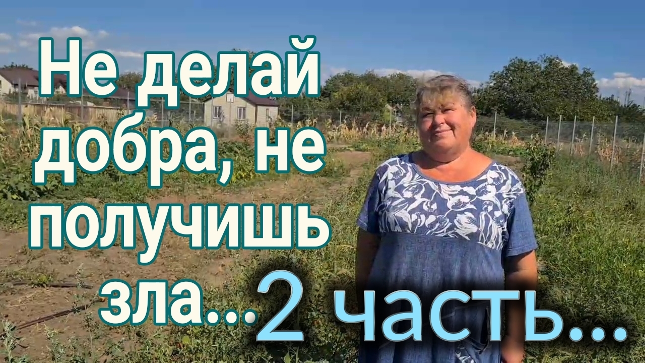 Ейск. Не делай добра, не получишь зла...2 часть. Олег в гостях у сестры. Рошальский лес, по грибы.