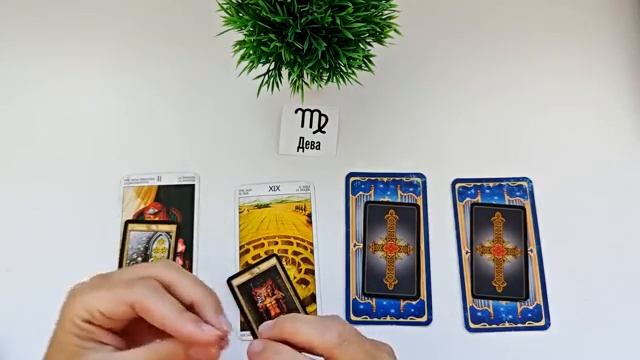 ДЕВА ОСЕНЬ 2025🌞 таро прогноз на сентябрь 2025/ октябрь 2025/ ноябрь 2025/ расклад “открытые двери”