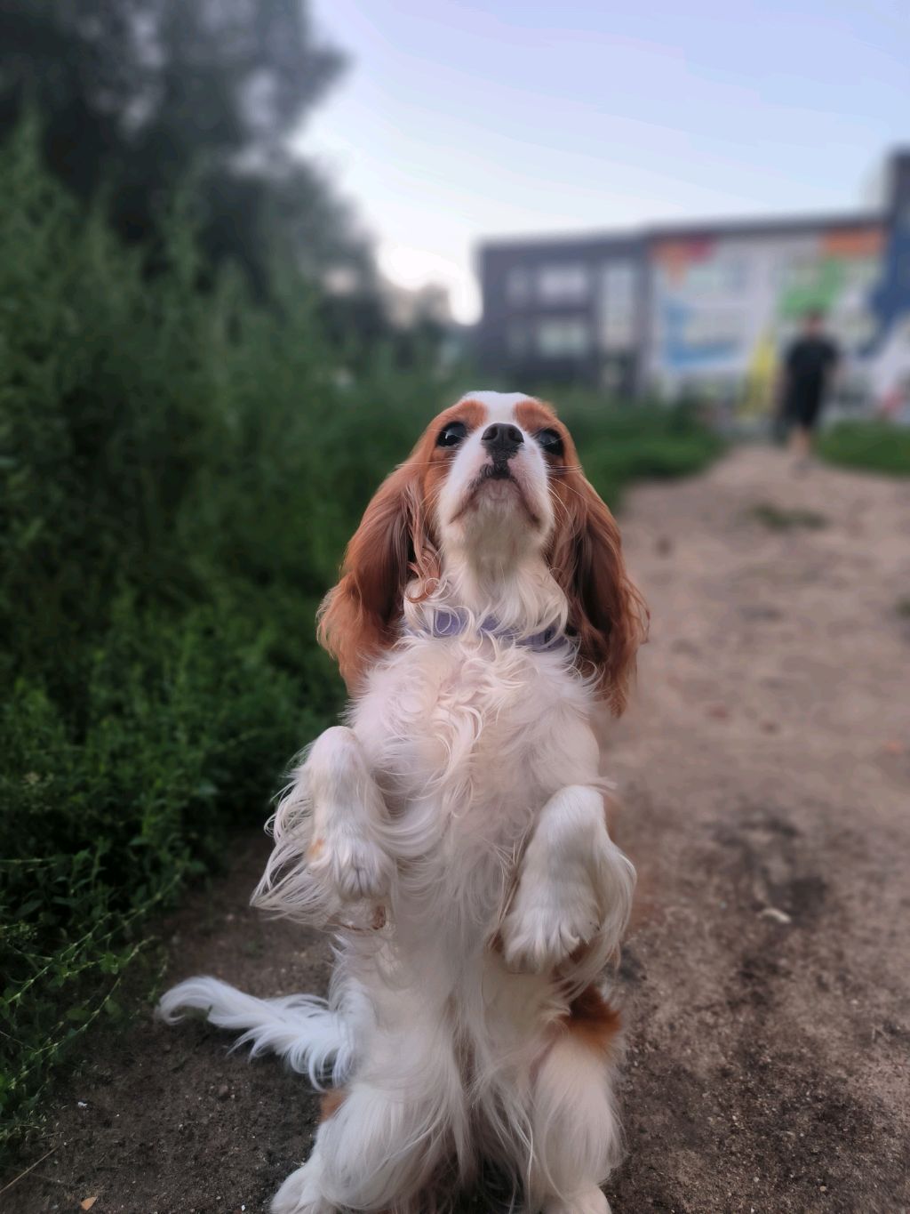 что-то..