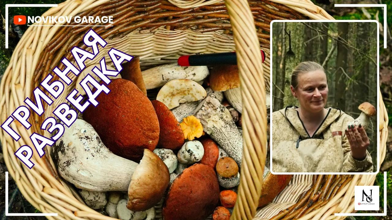 Грибная разведка 12 августа 2025. Всеволожский район.
