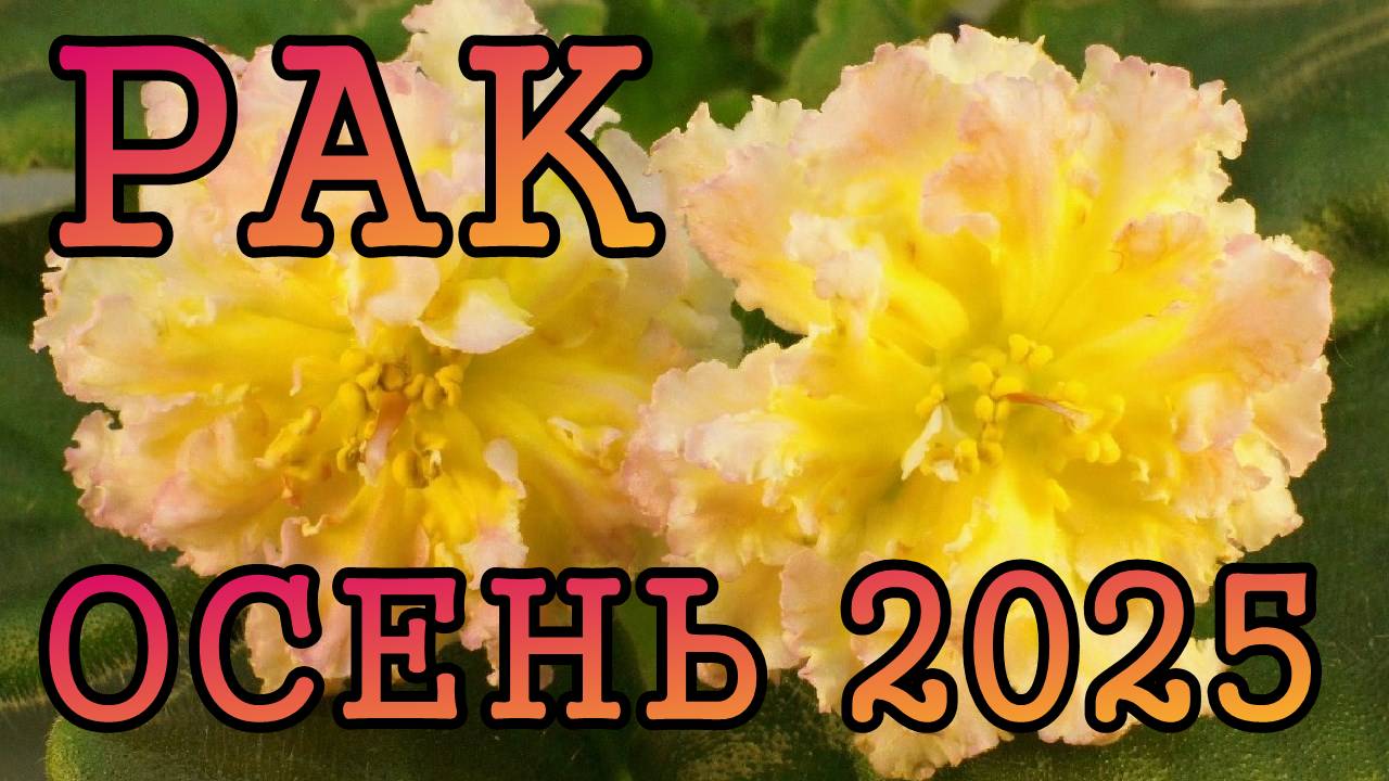 РАК таро прогноз на ОСЕНЬ 2025 года (сентябрь, октябрь, ноябрь).