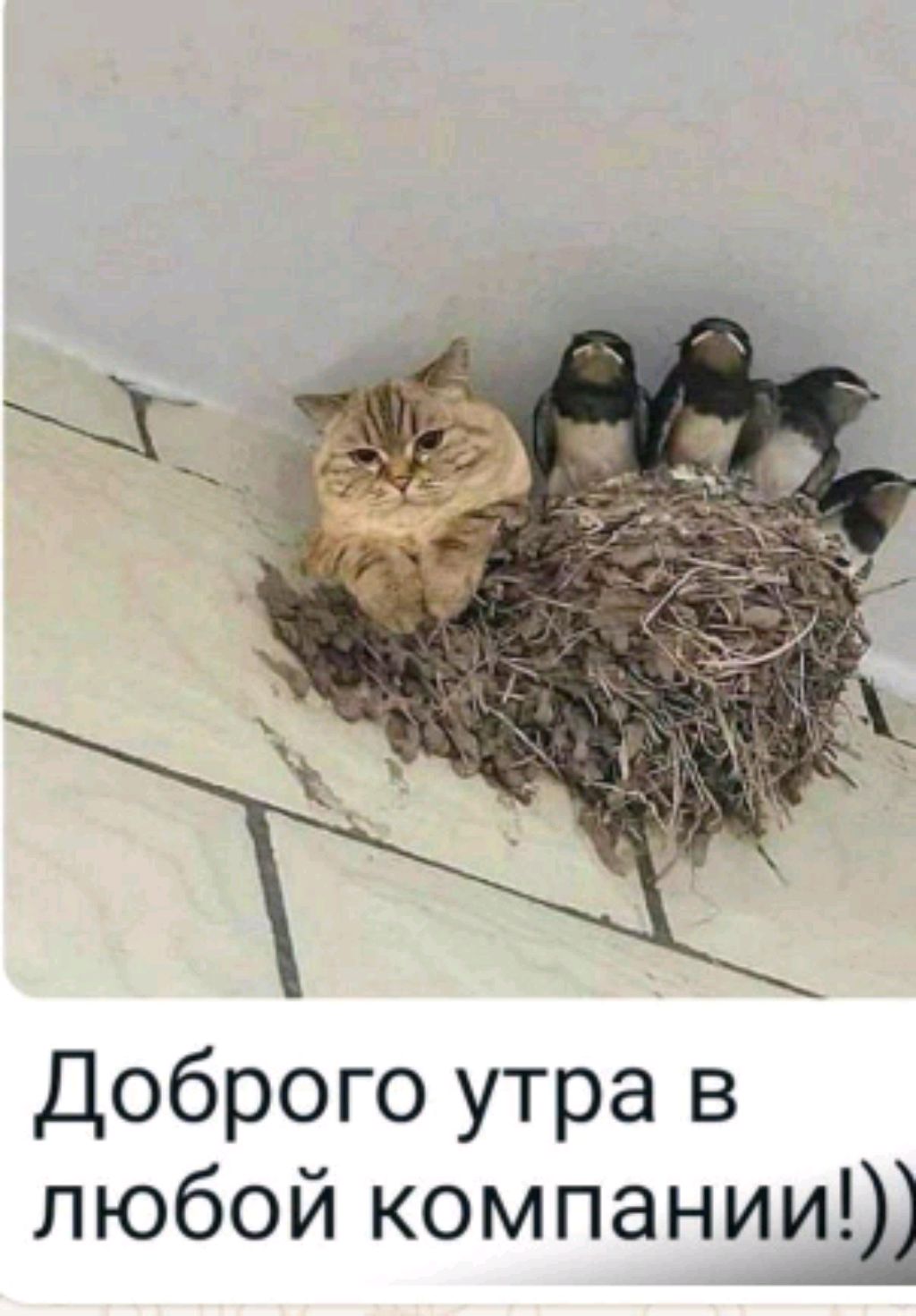 Про дизайн