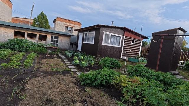 Всю жизнь решаю проблемы