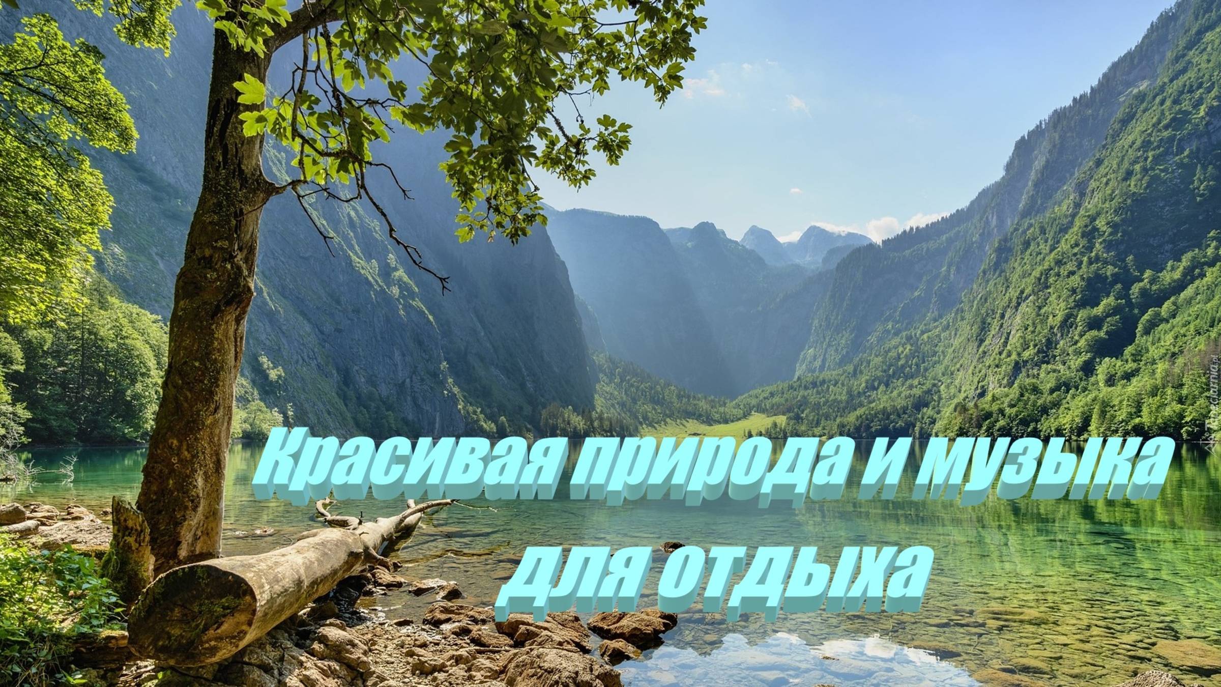 Удивительная природа #природа