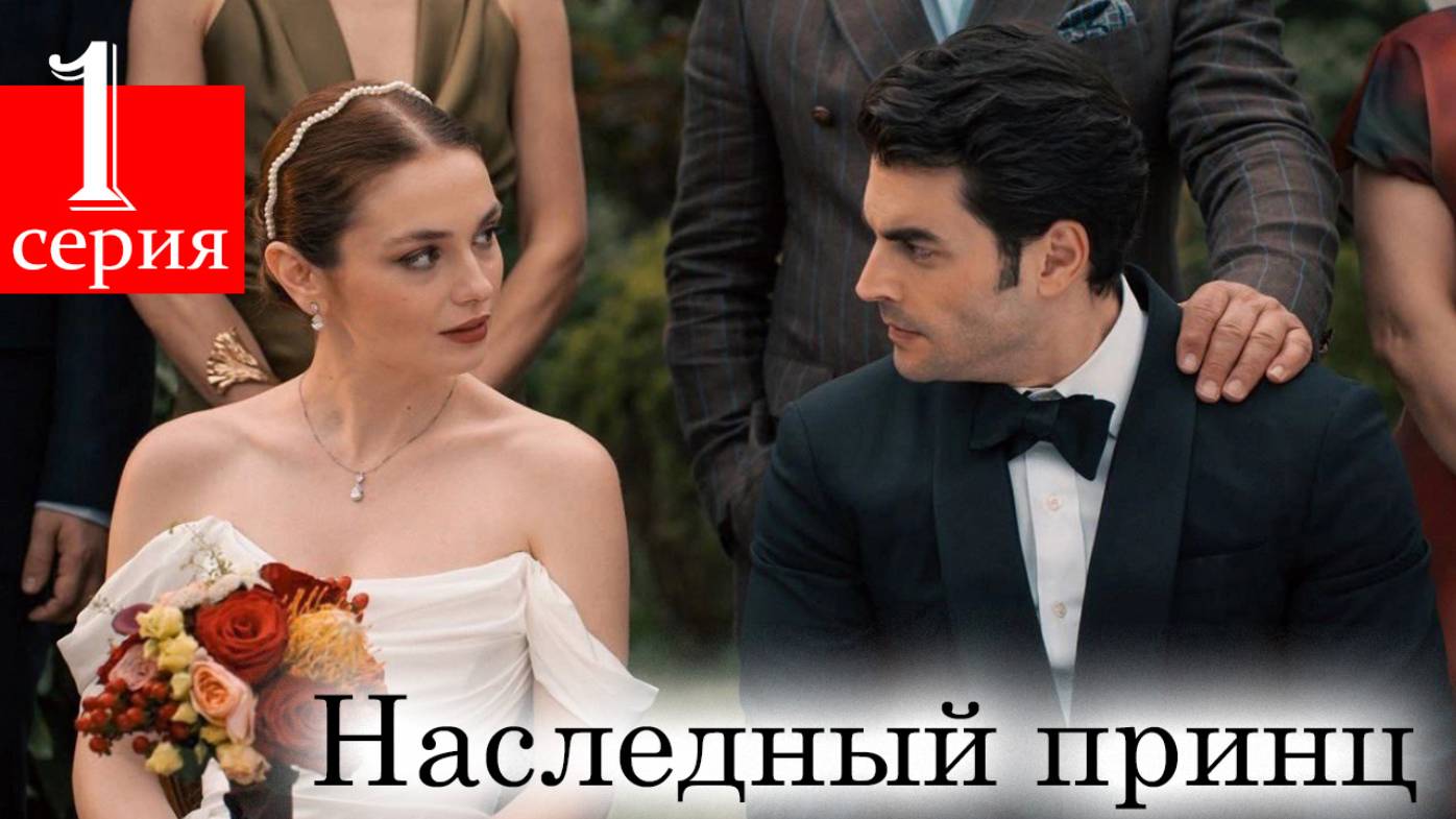 Наследный принц 1 серия на русском языке