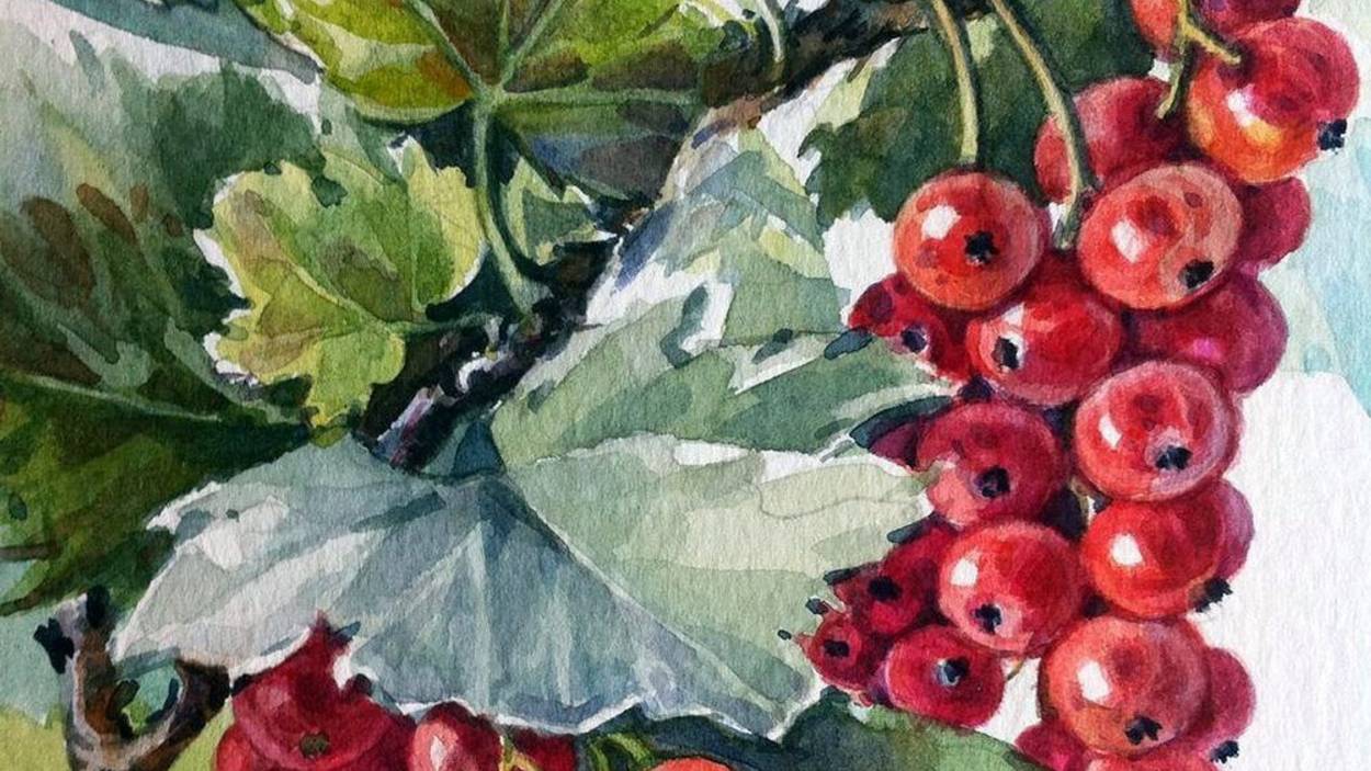 Блистательные ЛЬВЫ! 🌺🌺🌺 Ваш таро-прогноз на сентябрь 2025 год. ✨✨✨ Коридор затмений.