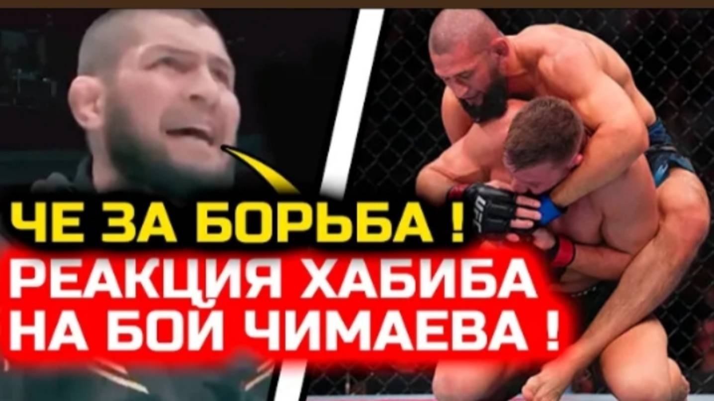 СРОЧНО МОЩНАЯ РЕАКЦИЯ ХАБИБА НА бой Чимаева и Дю Плесси хамзат чимаев дрикус дю плесси юфс 319 бой