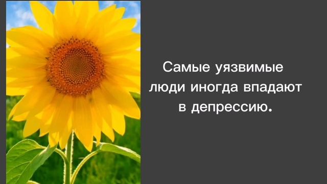 Немного мудрости от природы. Подсолнухи, солнце и мы.