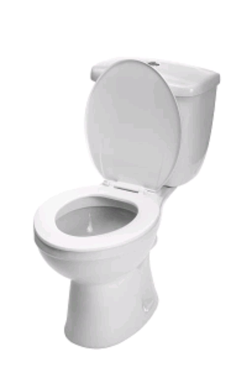 туалетный стрим🚽