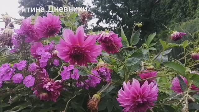 16.08.2025  Мой день. Лайфстайл