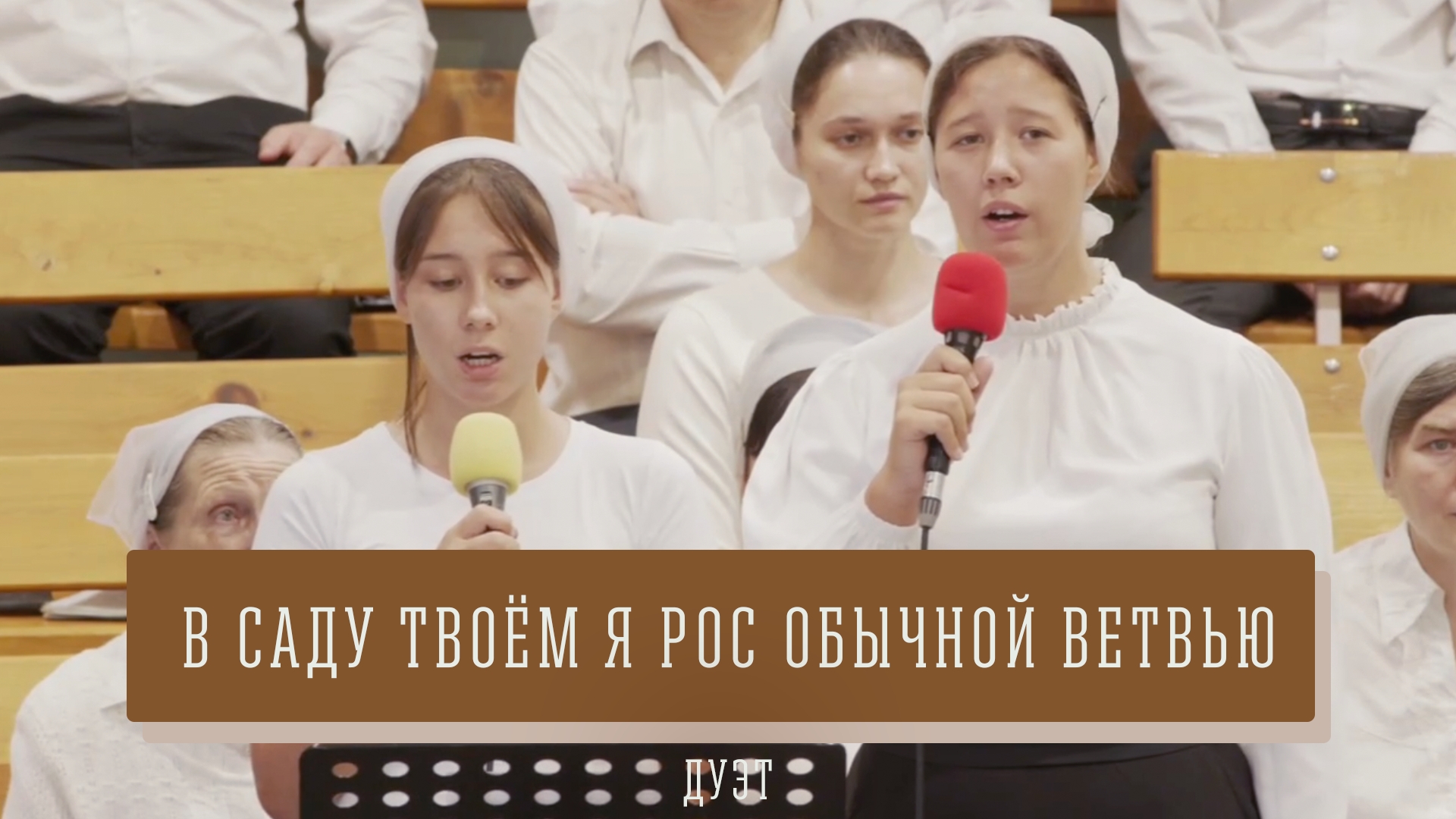 "В саду твоём я рос обычной ветвью" - соло