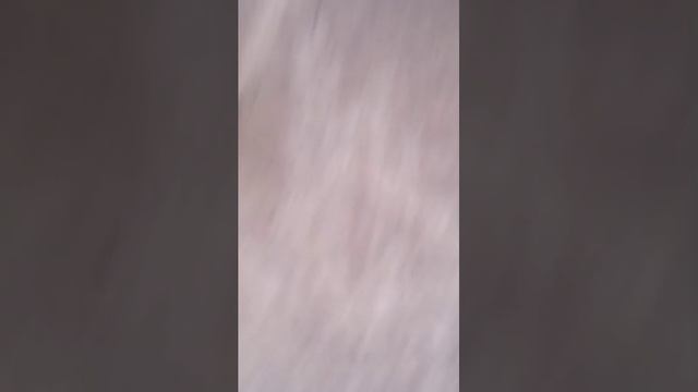 FFFFFFFFFFFFFFF