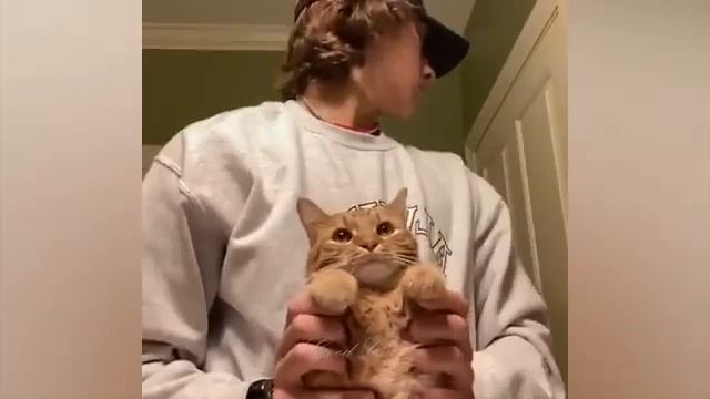 Смешные животные, часть 15