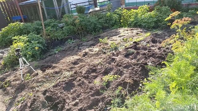В последний раз. Хорошенько поработала