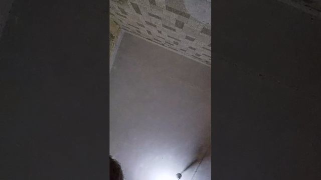 Я цдвэлуодзця6н, ишак
