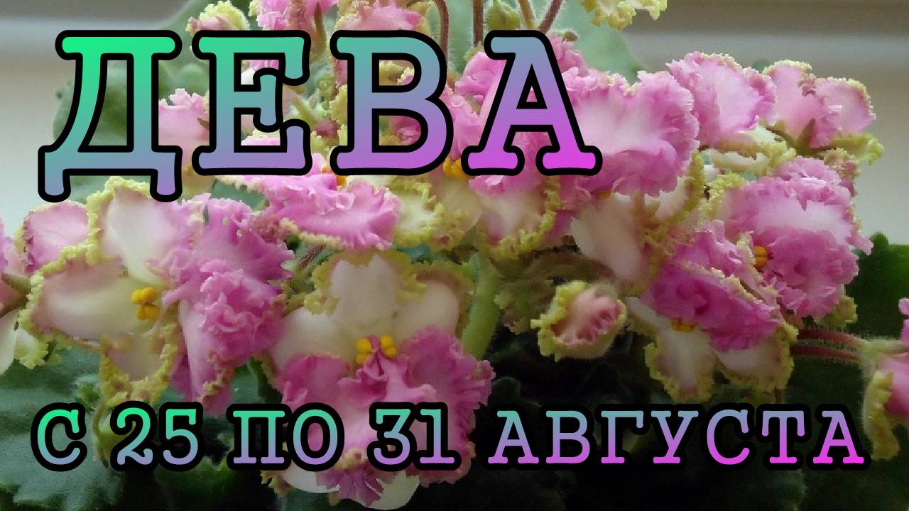 ДЕВА таро прогноз на неделю с 25 по 31 АВГУСТА 2025 года.