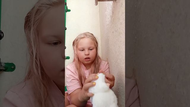 лабубу
