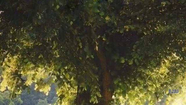 Жизнь до и после тебя - Аудио рассказы слушать онлайн бесплатно жизненные истории