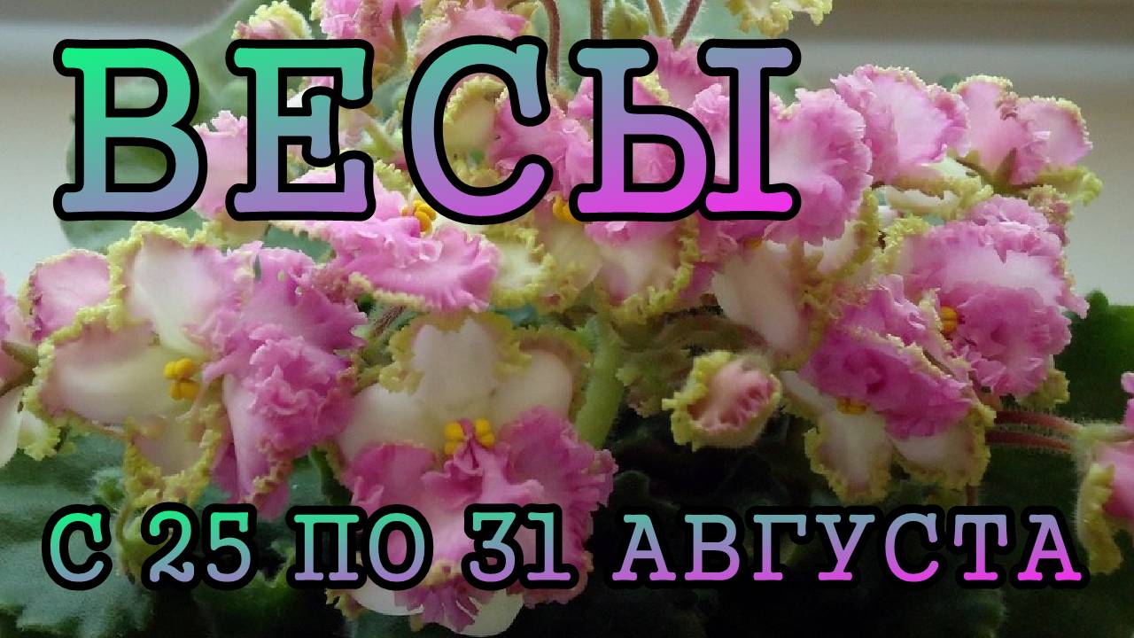 ВЕСЫ таро прогноз на неделю с 25 по 31 АВГУСТА 2025 года.