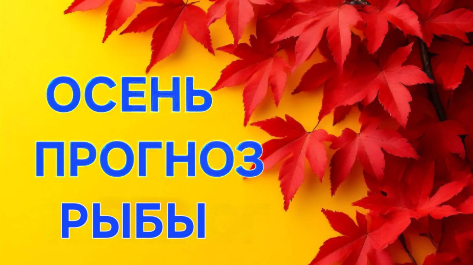 РЫБЫ. ТАРО ПРОГНОЗ НА ОСЕНЬ