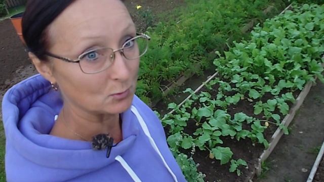 Видео привет с 6 соток 22 августа 2025 года