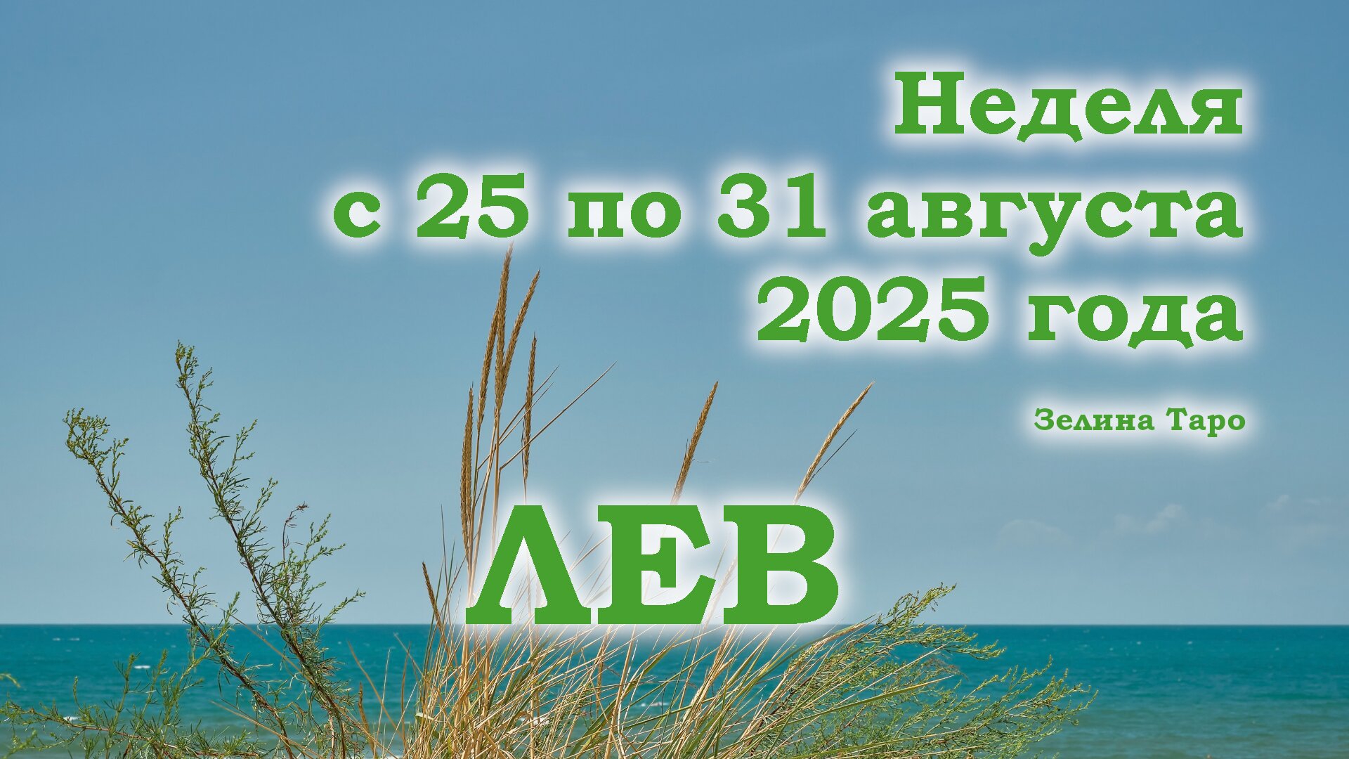 ЛЕВ | Таро прогноз на неделю с 25 по 31 августа 2025 года