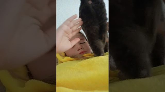 люблю вас подписчики 🥰
